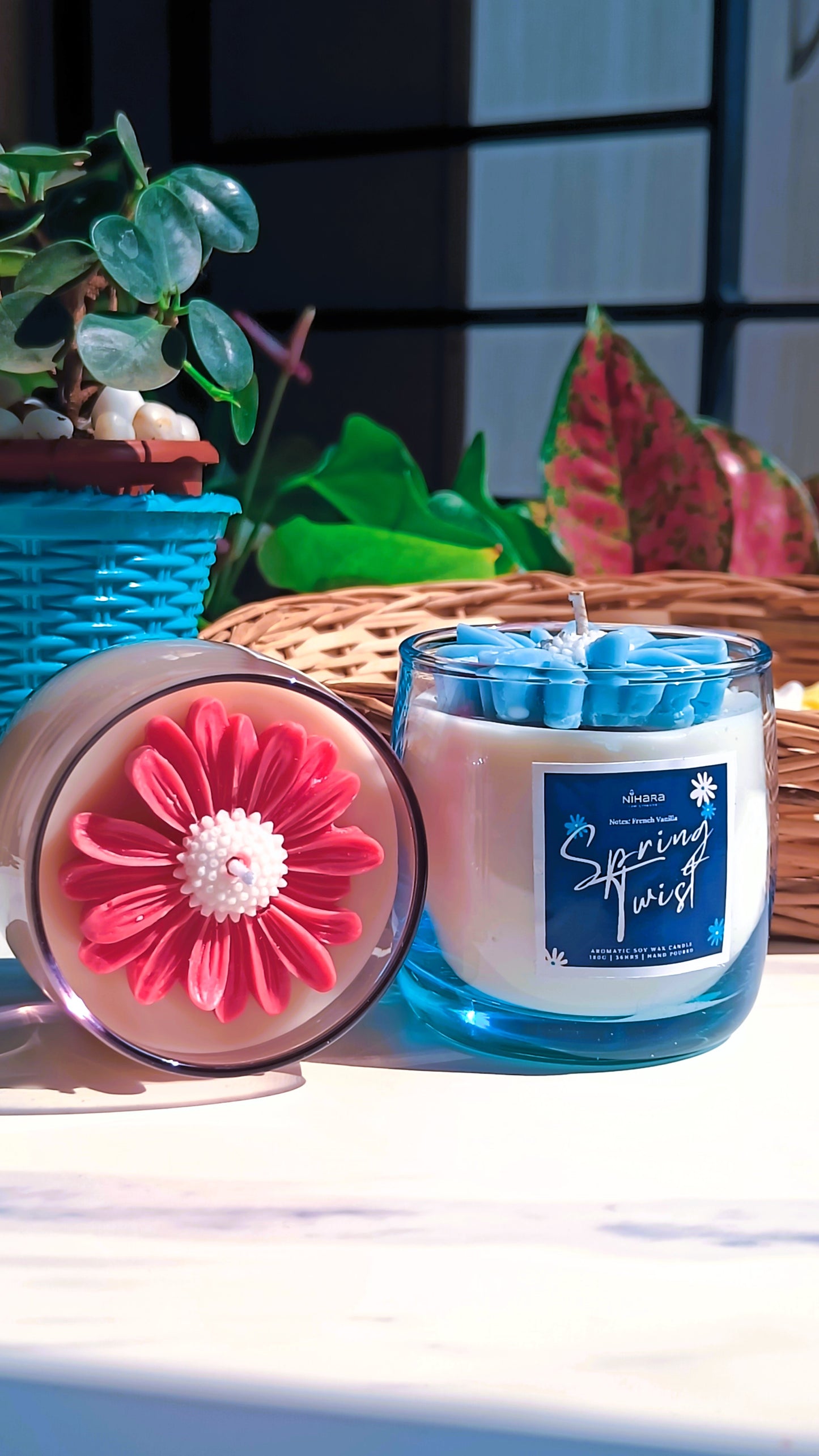 Twin Combo - Spring with a Twist