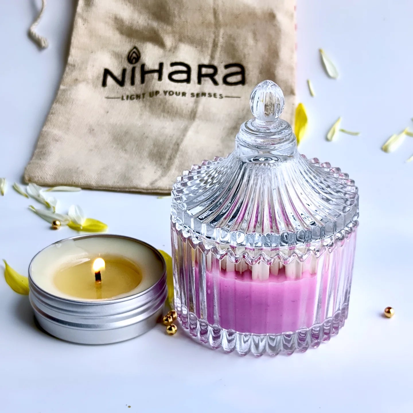 Daisy Garden Meadows