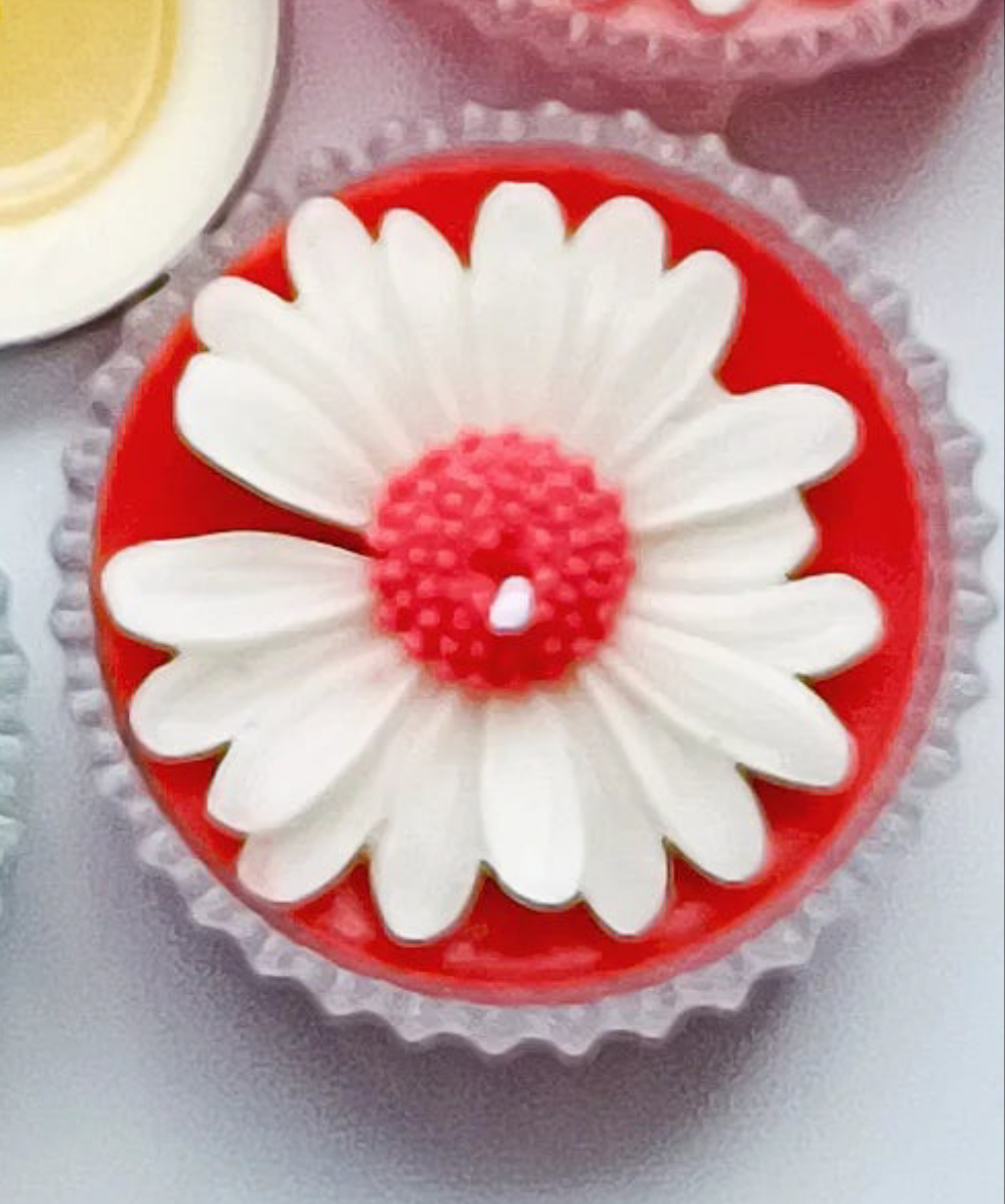 Decorative Daisy Florals
