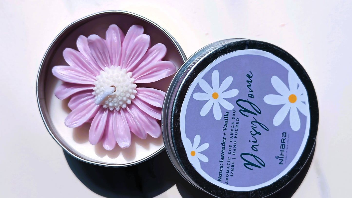 Daisy Dome - Classics