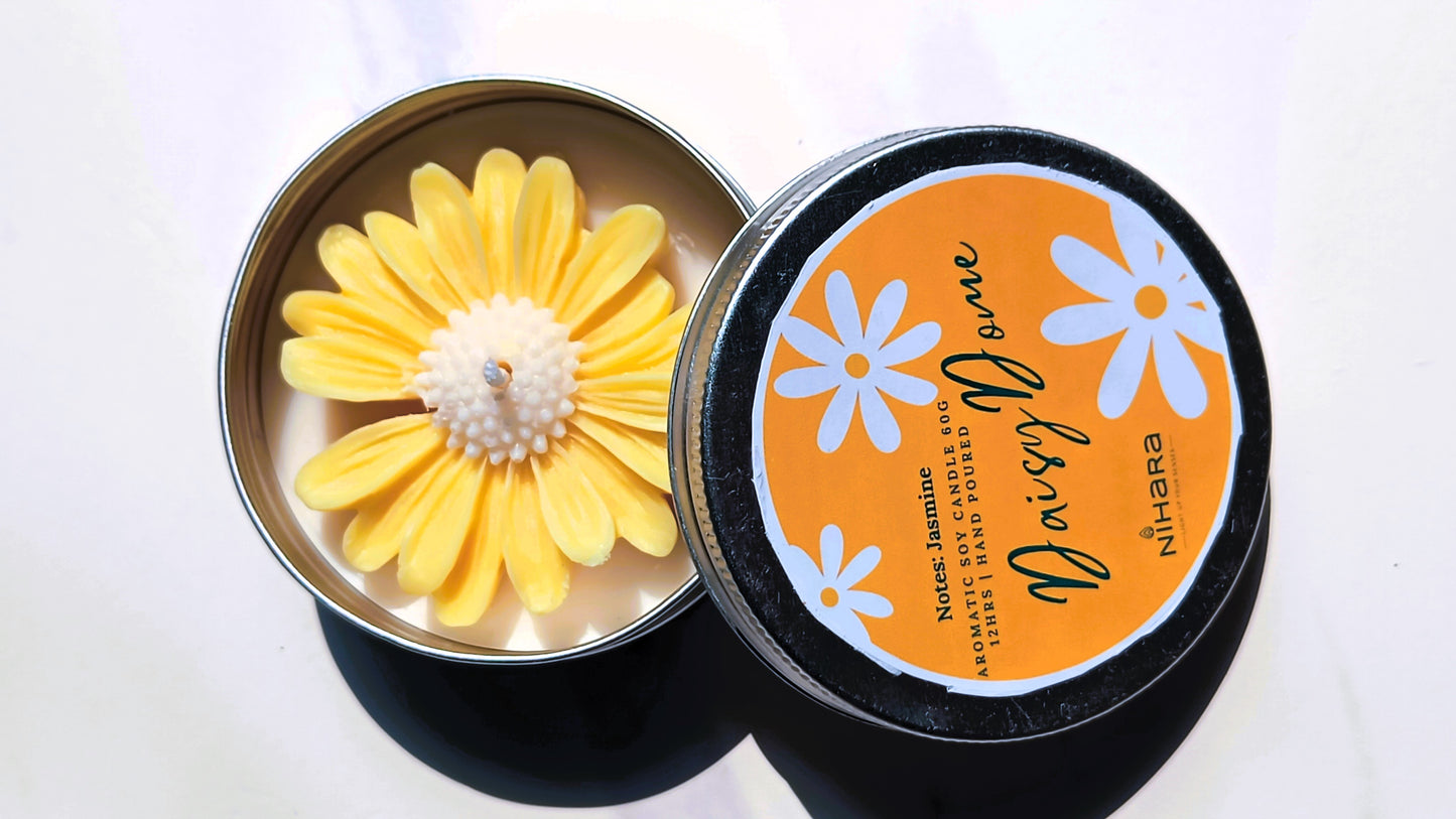 Daisy Dome - Classics